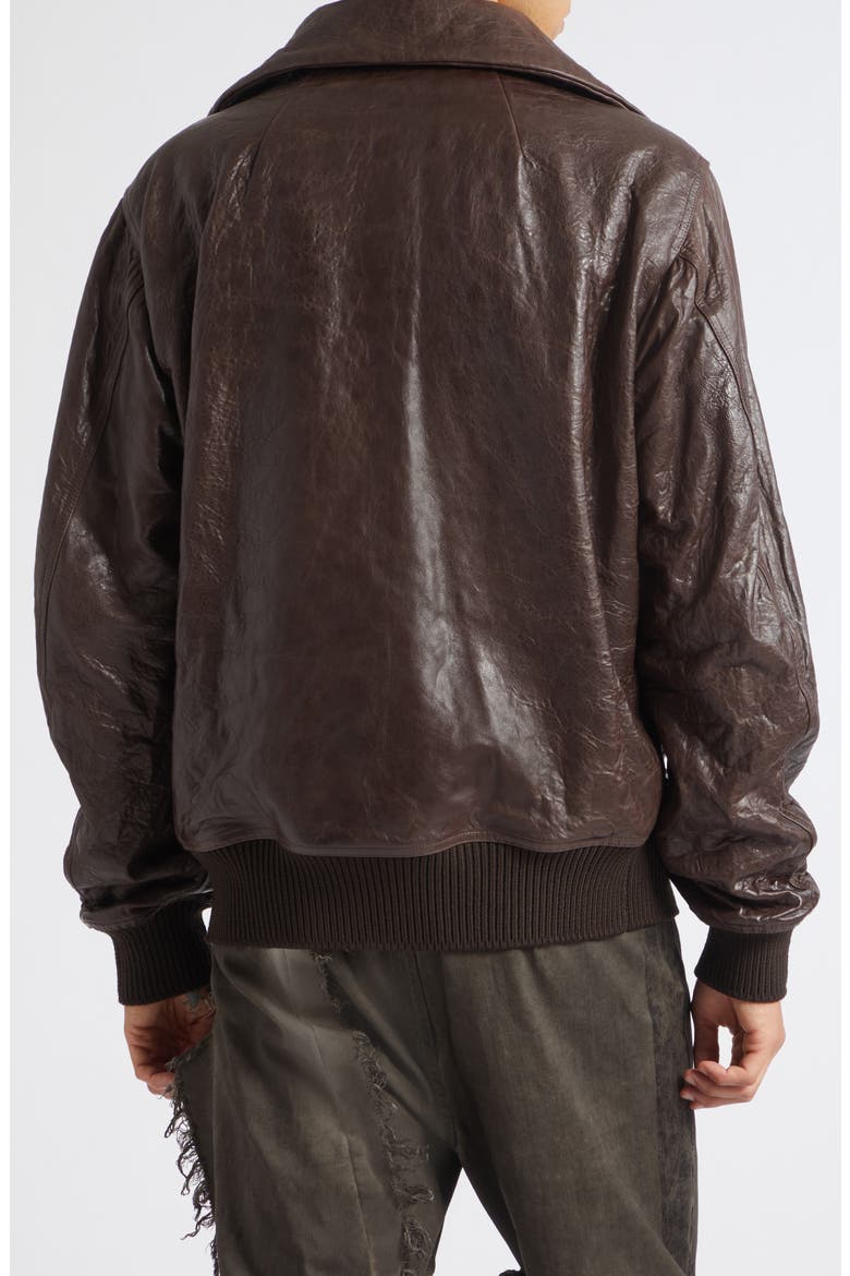 Dracuflight Leather Jacket, Alternate, color, GREASE