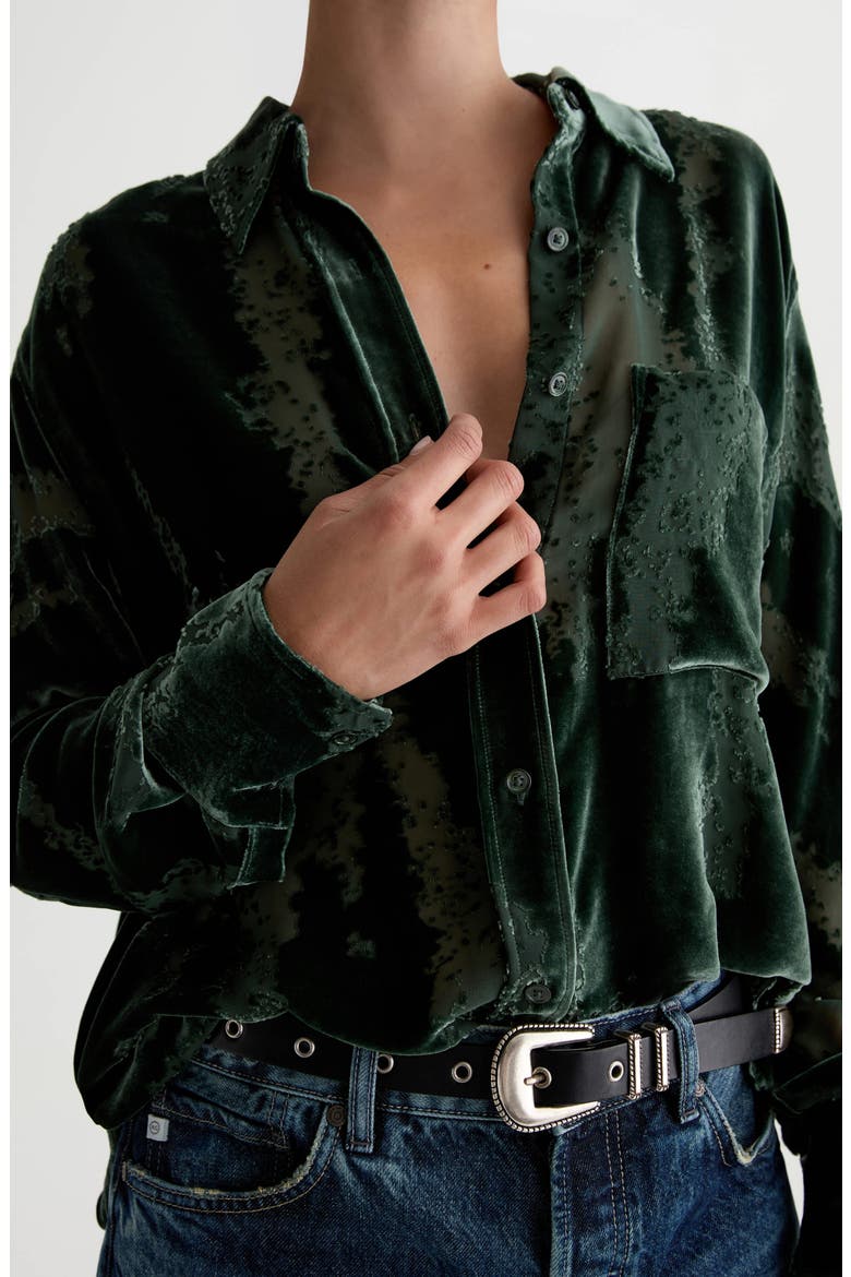 Sawtelle Burnout Velvet Shirt, Alternate, color, PINE