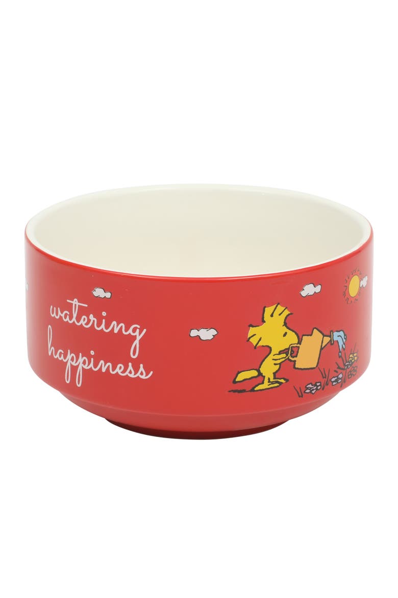Snoopy's Garden Patch Stackable Stoneware Bowl Set, Alternate, color, Assorted Colors