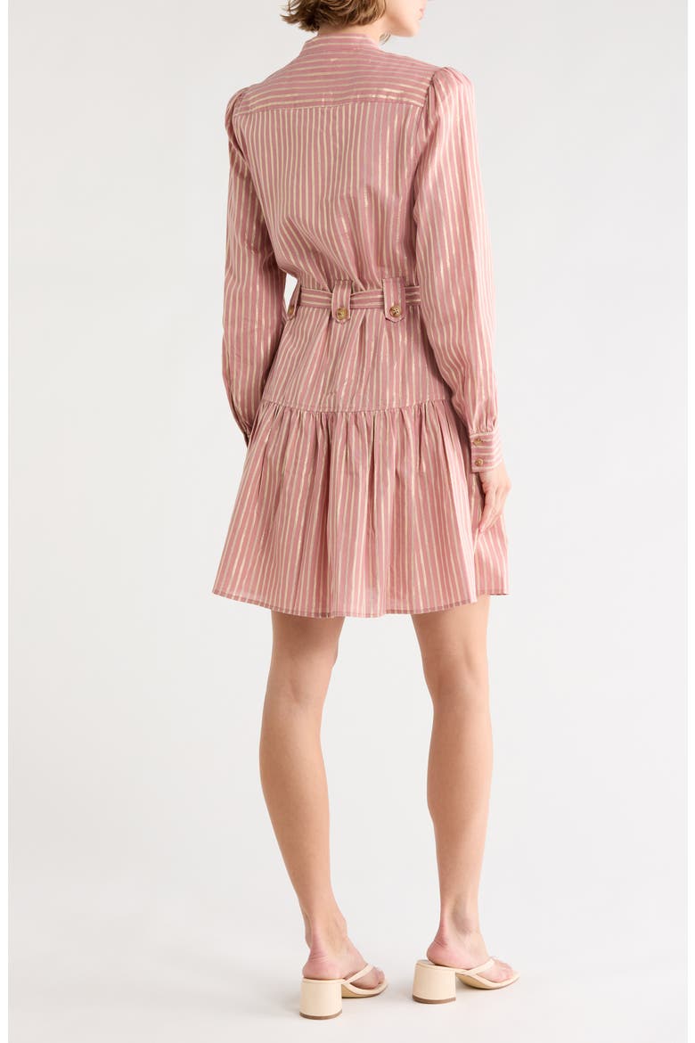 Kayla Utility Mini Shirtdress, Alternate, color, ROSEWOOD/ GOLD