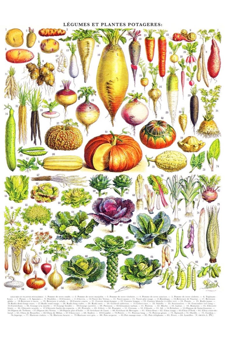 Vegetables ~ Légumes 1000 Piece Puzzle, Alternate, color, No Color