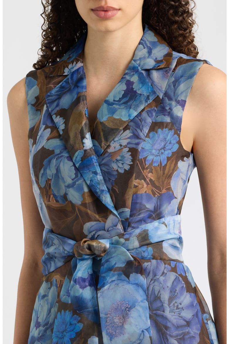 Tie Waist Maxi Dress, Alternate, color, BROWN BLUE