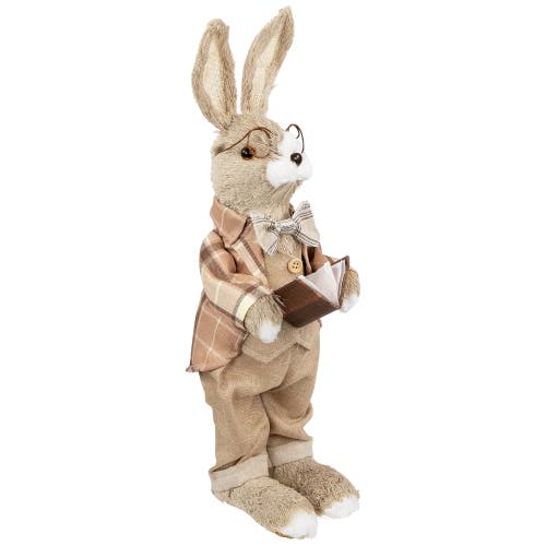 NORTHLIGHT NORTHLIGHT RUSTIC BOY RABBIT EASTER FIGURE WITH BOOK 