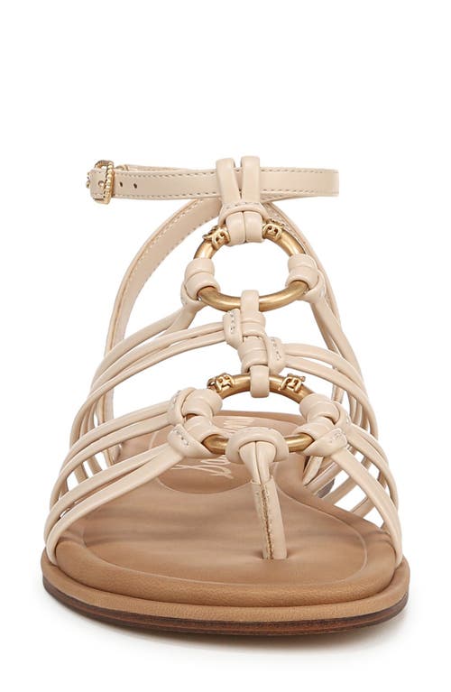 Shop Sam Edelman Raye Gladiator Sandal In Ecru Sand