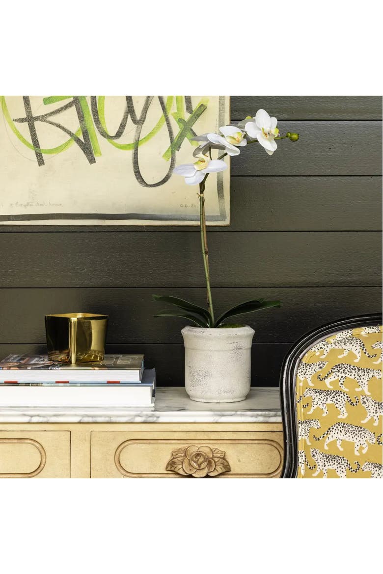 22" Artificial White Phalaenopsis Orchids, Set of 2, Alternate, color, White