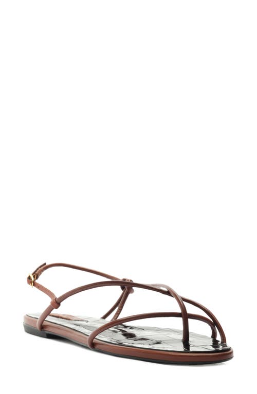 Schutz Malta Sandal in Sauvage 