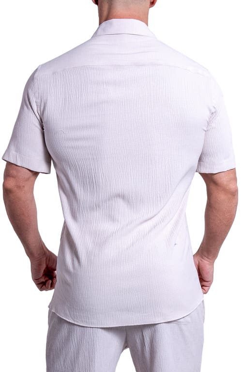 Maceoo Everyday Cream White Short Sleeve Button-up Shirt