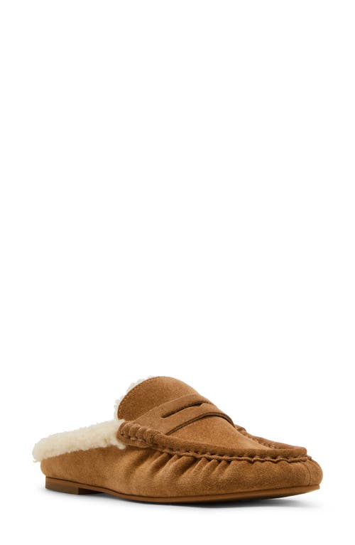 Steve Madden Rafe Genuine Shearling Mule In Brown
