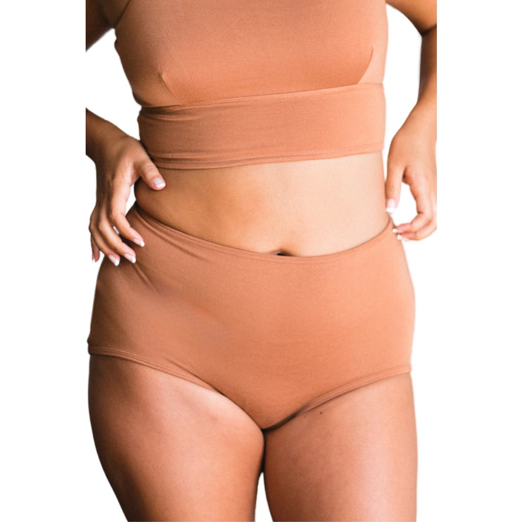 Proclaim High-rise Ultra Soft Sustainable Briefs In Medium Nude
