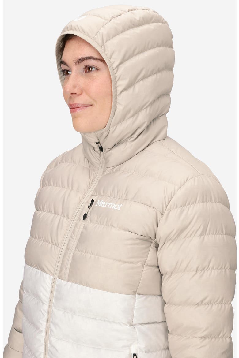 Highlander 700 Fill Power Down Hooded Jacket, Alternate, color, BIRCH BARK/ PEARL