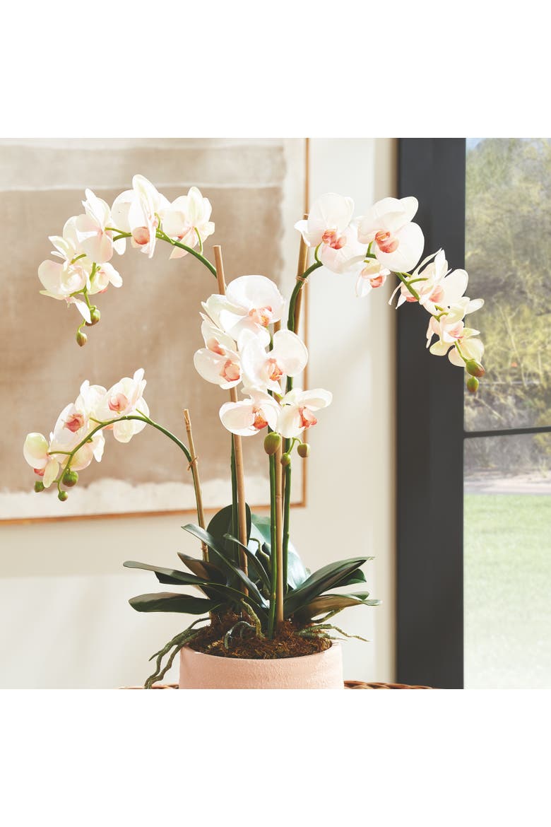 Phalaenopsis Orchid Artificial Plant Drop-In, Alternate, color, Pink