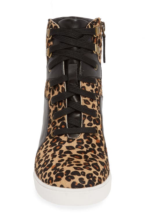 Linea Paolo Fleur Wedge Sneaker In Black Leather/calf Hair