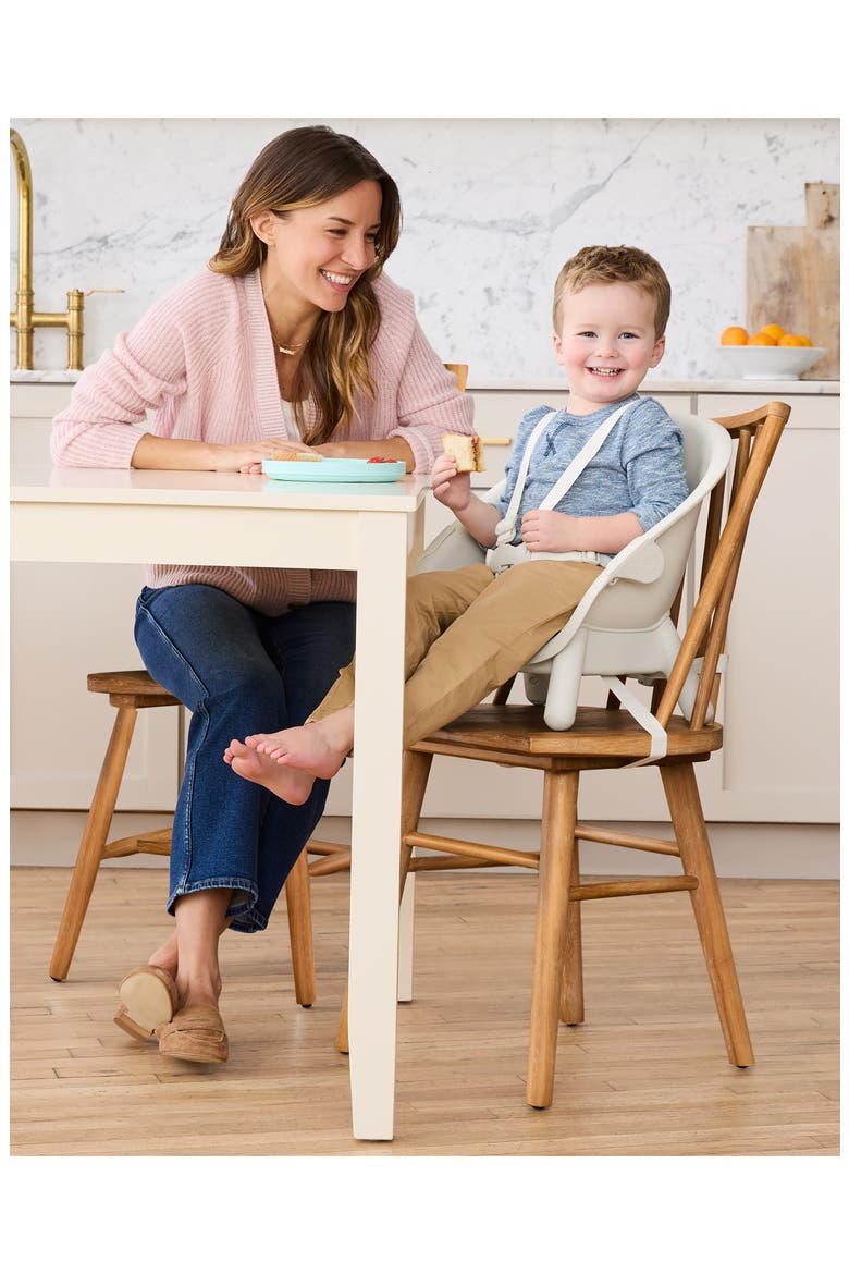 EON 4-in-1 High Chair, Alternate, color, OAT