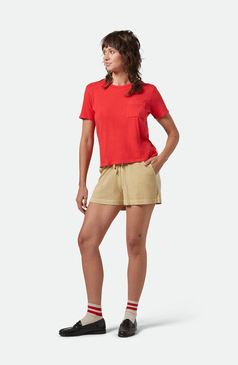 Brixton Carefree Organic Cotton Pocket T-Shirt, Alternate, color, 