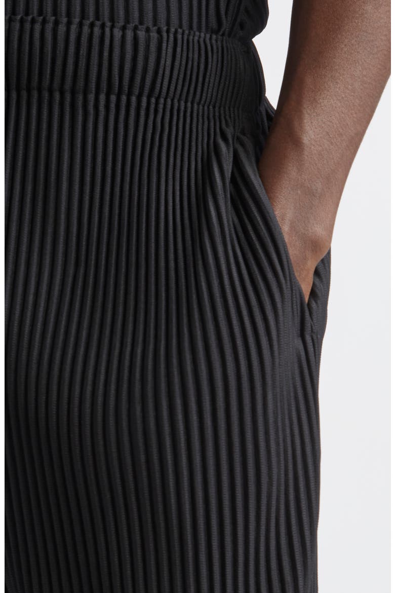 Monthly Colors October Pleated Pants, Alternate, color, BLACK