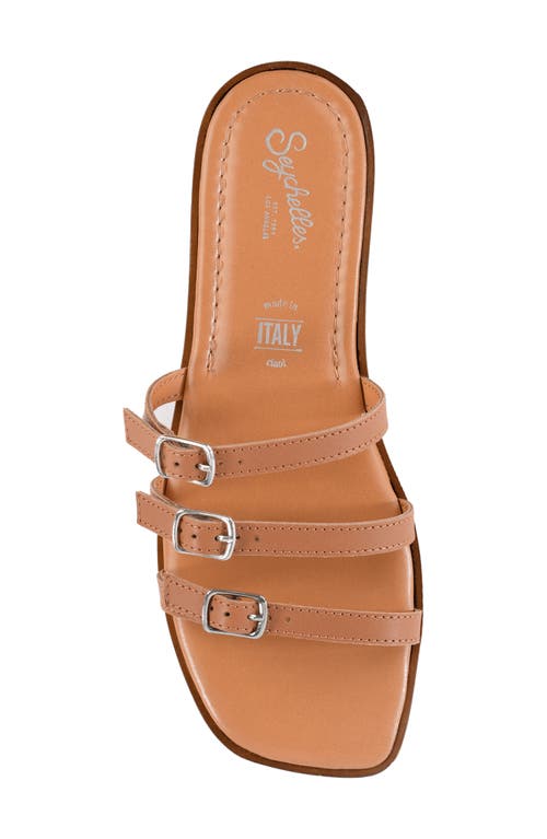 Seychelles Buckle Leather Sandal In Brown