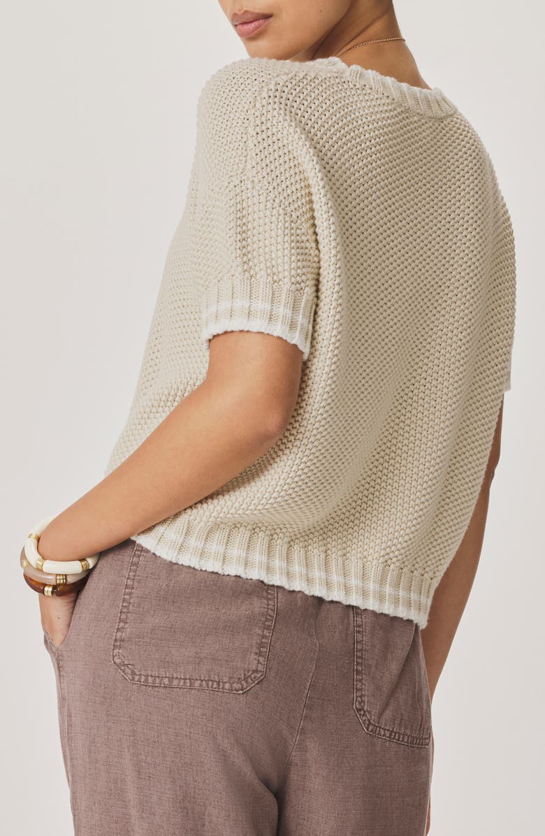 Splendid Ann Marie Short Sleeve Cotton Sweater, Alternate, color, Light Fawn Beige/ Shell Grey