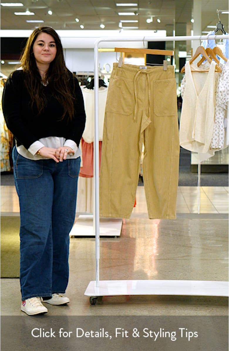 Stripe Tie Waist Baggy Pants, sales video thumbnail