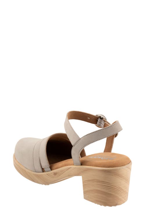 Shop Softwalk ® Fillmore Ankle Strap Platform Clog