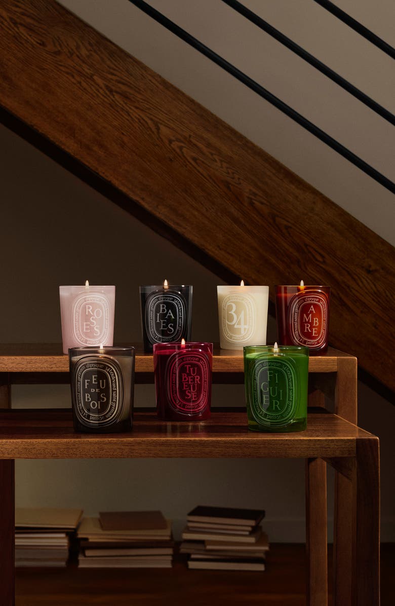 Diptyque Baies (Berries) Medium Candle, Alternate, color, 