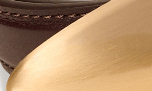 Cult Gaia Fiore Leather Belt In Espresso