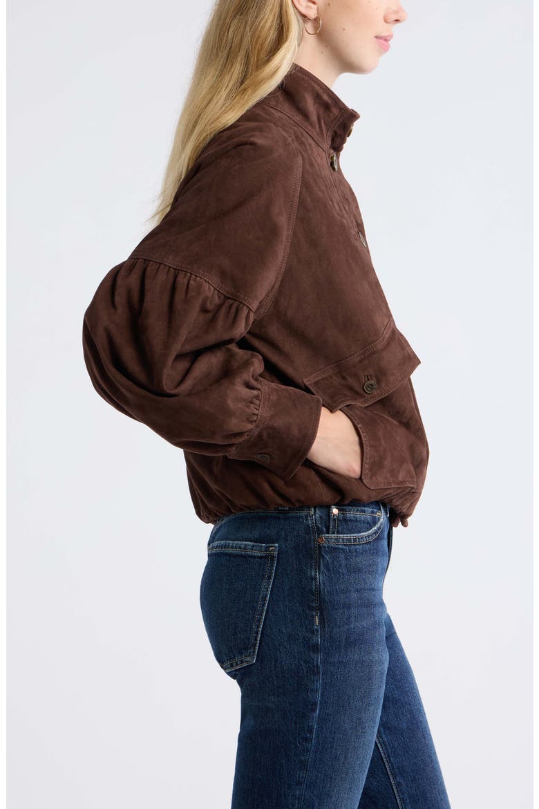 Blouson Suede Leather Jacket, Alternate, color, BROWN CHICORY