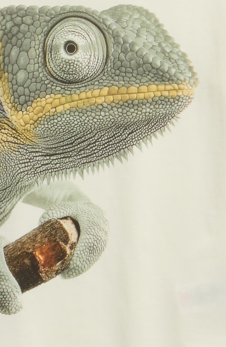 MILES THE LABEL Kids' Chameleon Cotton Graphic T-Shirt, Alternate, color, Off White