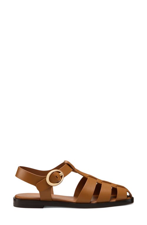 Stuart Weitzman Villa Fisherman Sandal In Brown