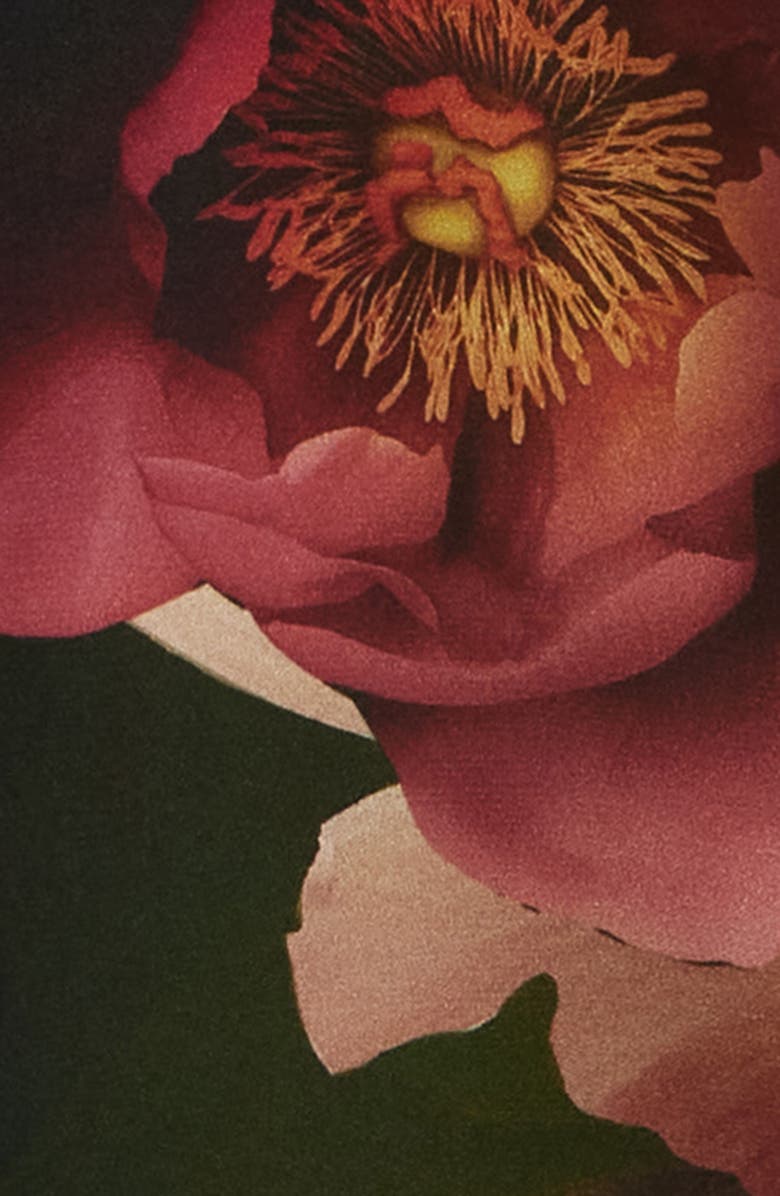 Elie Tahari The Mila Floral Print Long Sleeve Shirtdress, Alternate, color, 