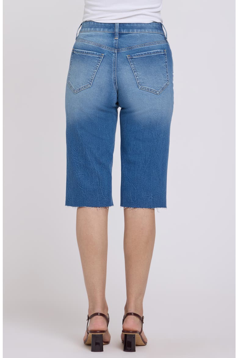 Kristie '80s Denim Bermuda Shorts, Alternate, color, PACIFICA