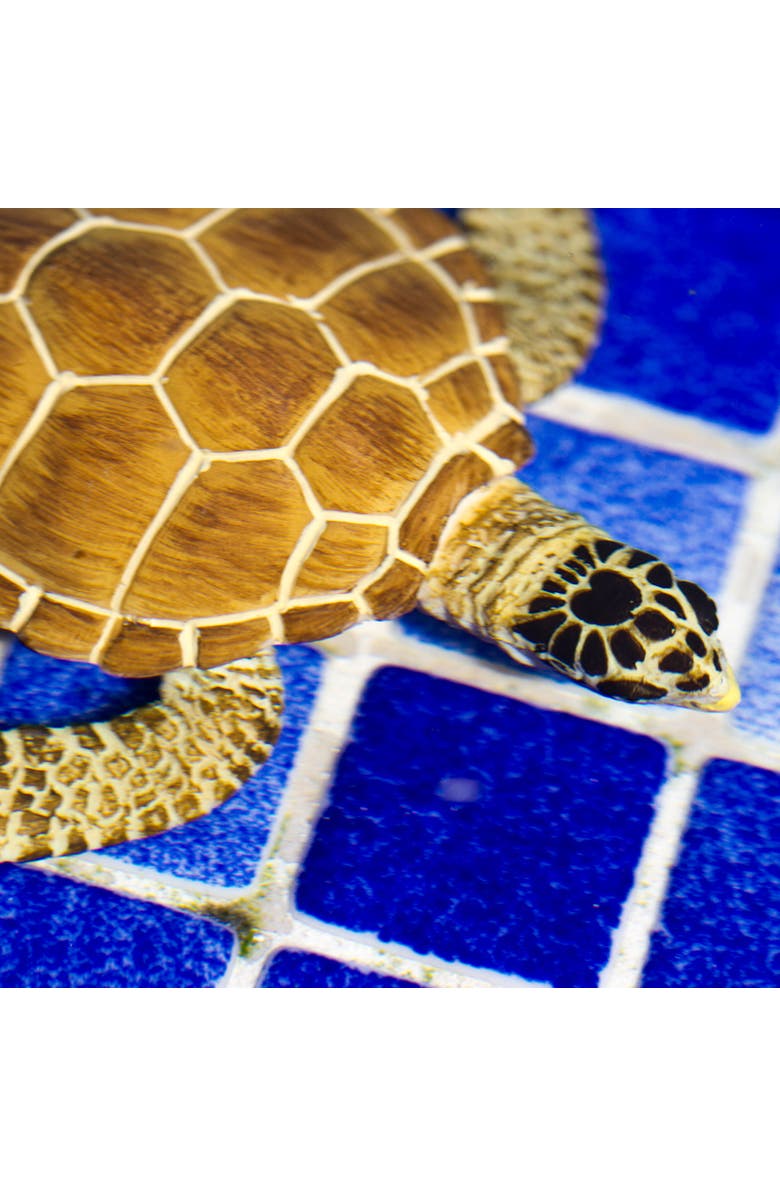 Safari Ltd. Loggerhead Turtle Kids Toy Figure, Alternate, color, NO COLOR