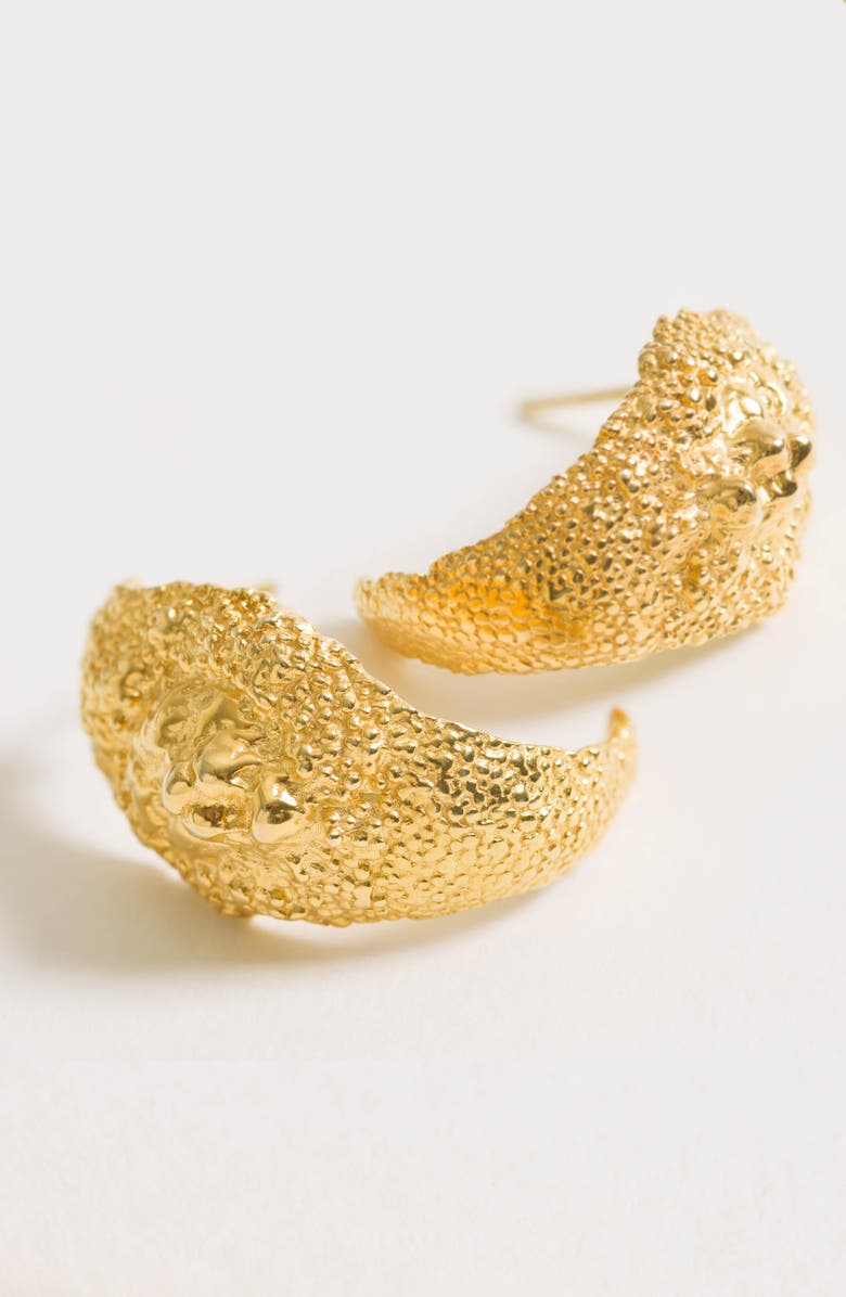 Freya Rose Lion Hoops, Alternate, color, Gold