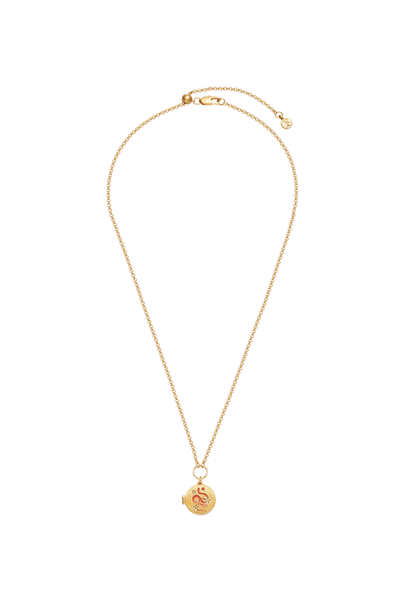 Snake & Blossom Locket Necklace, Alternate, color, Gold