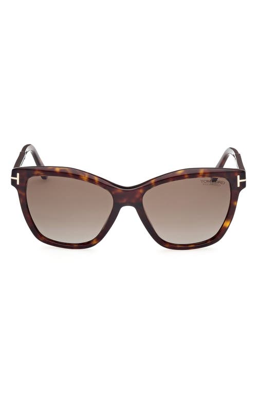 Tom Ford Lucia 54mm Polarized Square Sunglasses In Classic Dark Havana/t Logo