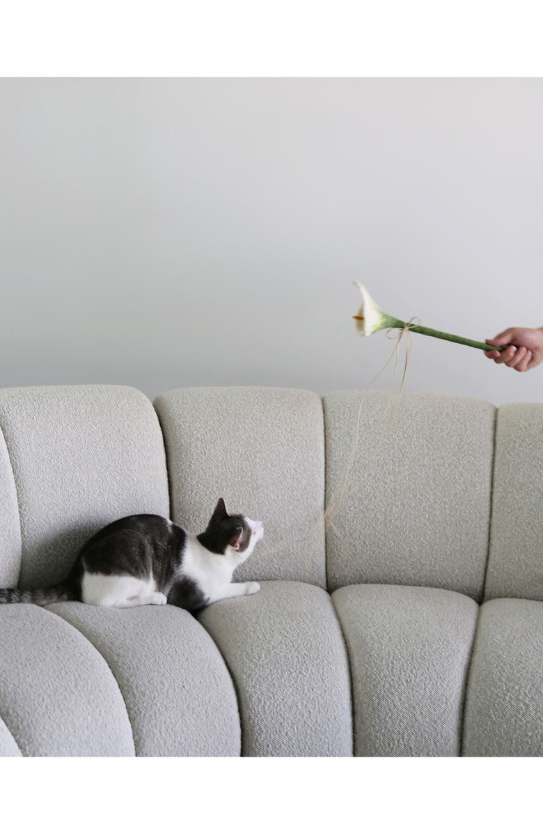 Catenary Flora Wand Cat Toy, Alternate, color,