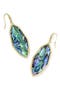 selected Gold Abalone Shell