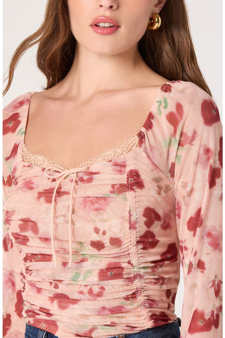 Lace Trim Long Sleeve Ruched Mesh Top, Alternate, color, BEIGE FLORAL