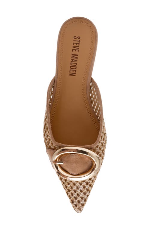 Steve Madden Ira Pointed Toe Mule