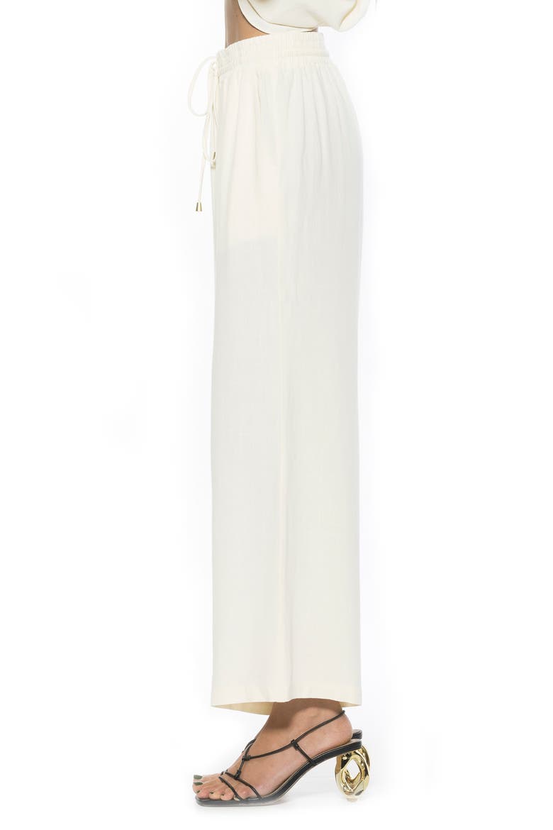 Xila Wide Leg Pants, Alternate, color, IVORY