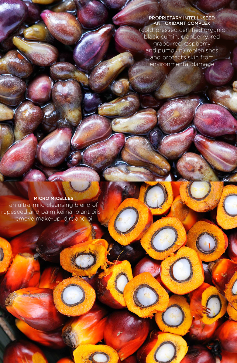 Intelligent Nutrients Seed Synergy Micellar Water, Alternate, color, NO COLOR