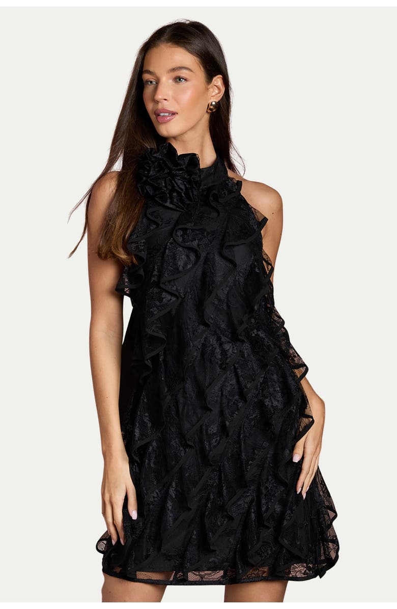 Coast Lace Frill Mini Dress, Main, color, Black