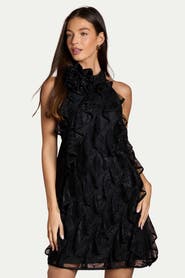Coast Lace Frill Mini Dress