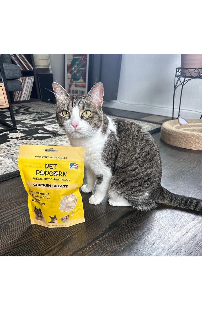 Pet Popcorn Freeze Dried Raw Treats, Chicken Breast, 2.5oz Bag, Pet Snacks, Alternate, color, Multicolored