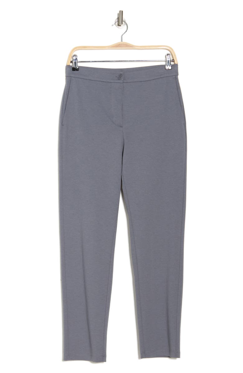 Eileen Fisher High Waist Ponte Knit Slim Ankle Pants, Alternate, color, Steel