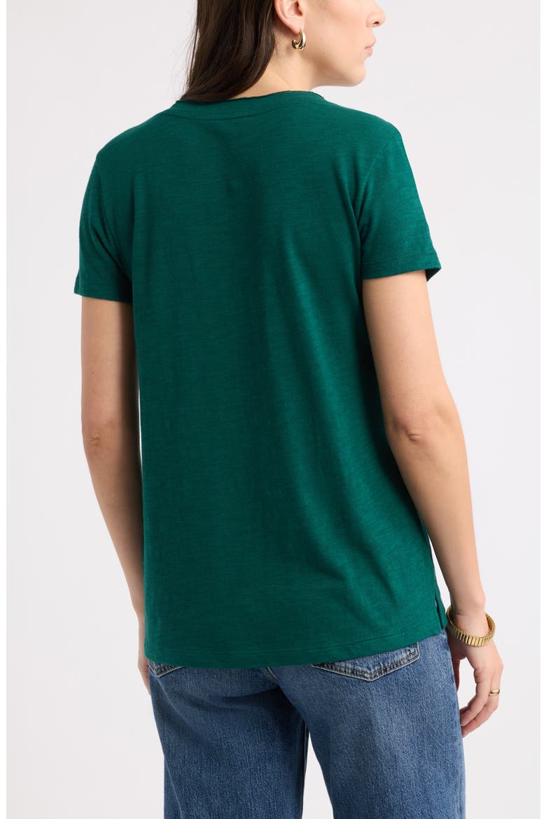 Cotton & Modal V-Neck T-Shirt, Alternate, color, GREEN BOTANICAL