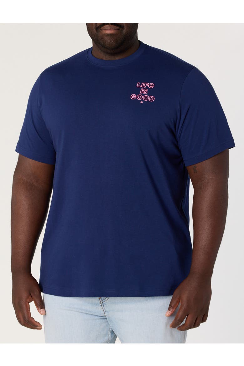 Big & Tall Flamingo Graphic Tee, Alternate, color, NAVY