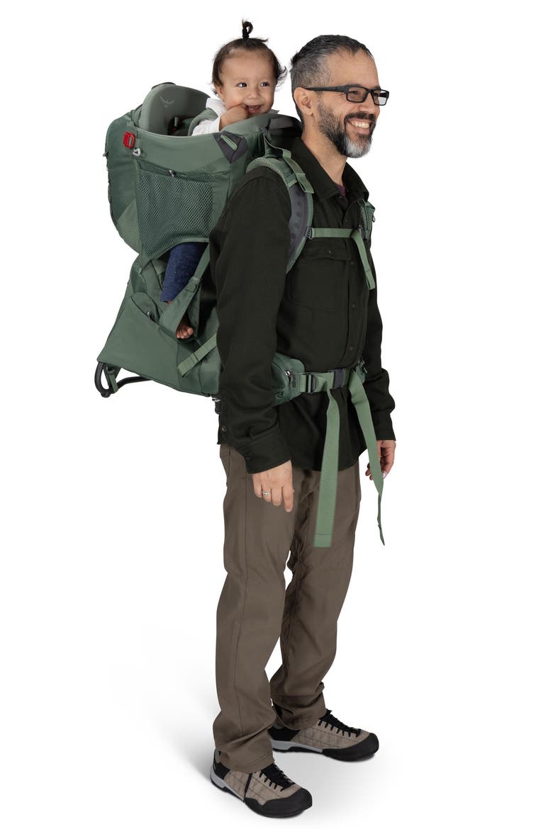 Poco™ Premium Child Carrier, Alternate, color, KOSERET GREEN