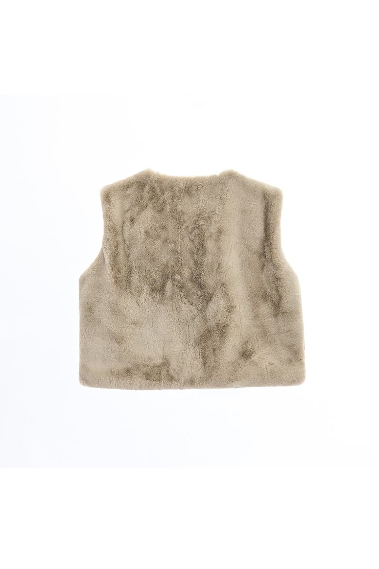 Allamanda Plush Fur Vest, Alternate, color, Beige