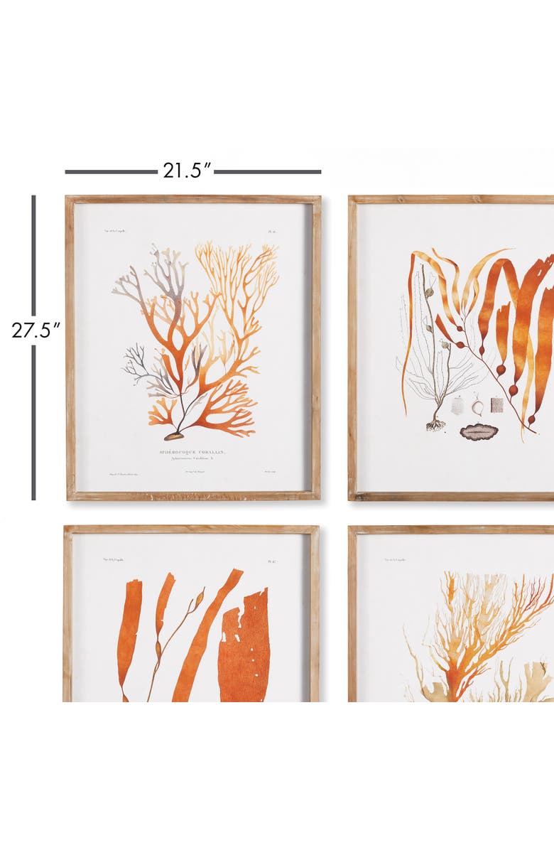 Napa Home & Garden Coral Reef Study Set of 4, Alternate, color,