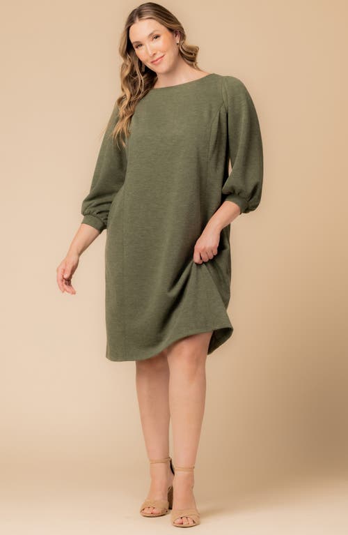 Kiyonna Madison Long Sleeve Sweater Dress In Green